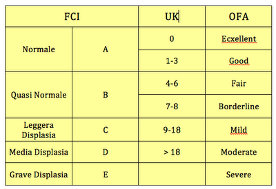 classificazione-displasia-anca-cane