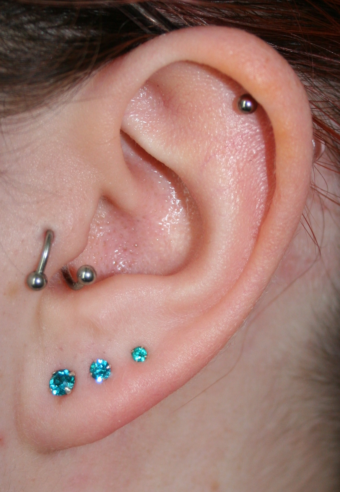  look terrifying up close! My left ear has five piercings in itthe title=