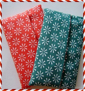 tissue case (14Dec2011a)