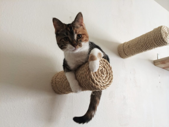 10 Reka Bentuk Rumah  Untuk Penggemar Kucing Zaza Iman