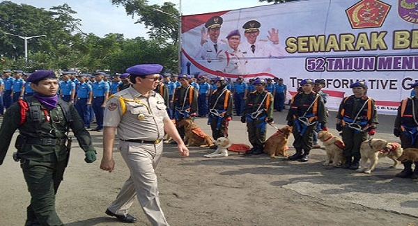 Sekolah Tinggi Ilmu Pemerintahan Abdi Negara