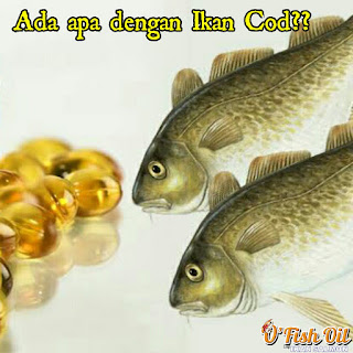 ikan kod, ikan cod, ofish oil, minyak ikan, fish oil, nutrisi otak, manfaat minyak ikan