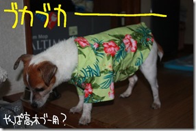 今日カズ１０１００３　３