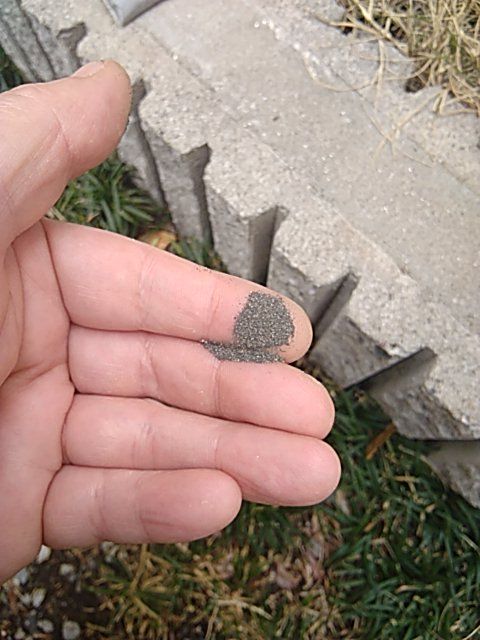 家庭菜園の畑に鉄は必要か