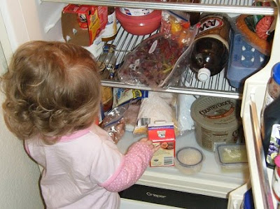 Sasha in Fridge