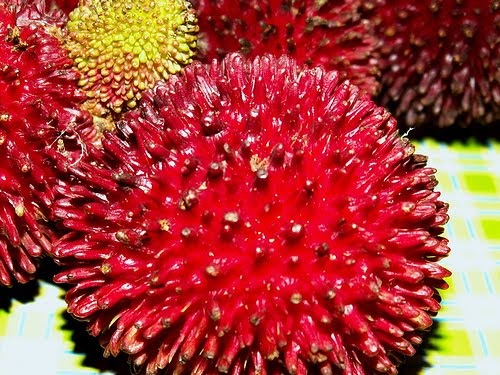 buah buahan tempatan di malaysia