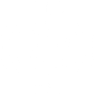 Viettel Football Club Logo Vector Format (CDR, EPS, AI, SVG, PNG)