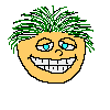 hindimeseekhna faceccok seekho