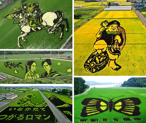 creative ideas, painting in a paddy fields
