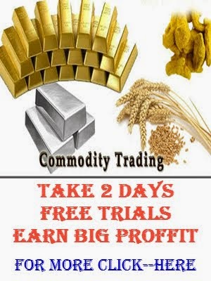 Agri commodity Calls, Agri commodity Tips, capitalstars, Mantha oil Tips , Gaurseed Tips , Mcx Tips Services