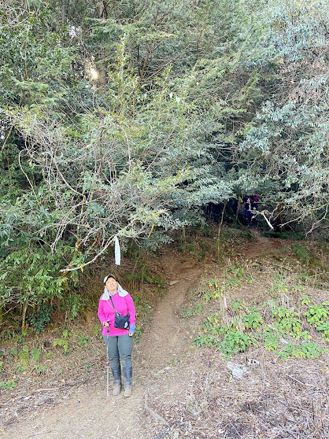 回抵登山口