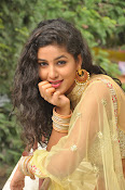 pavani sizzling photos gallery-thumbnail-28