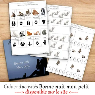 Cahier d'activités du livre Bonne nuit mon petit d'Audrey Janvier pour les enfants