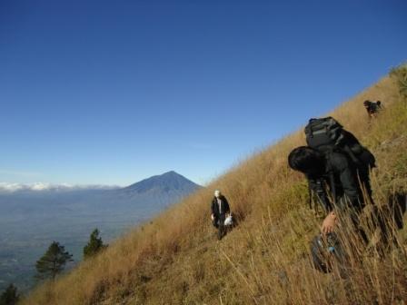 Info Terbaru Jalur Pendakian Gunung Guntur