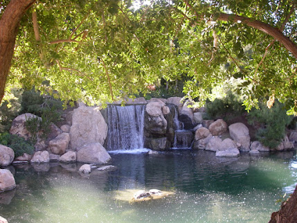 Japanese Gardens & Waterfall, Phoenix, AZ Botanical Gardens