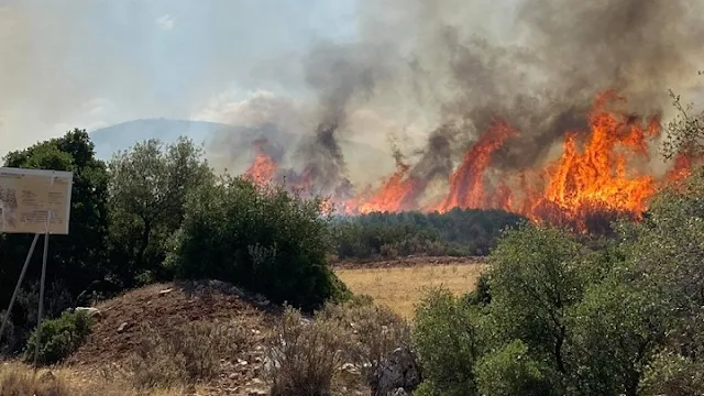Πυρκαγιά στη Μεσσηνία - Εντολή για προληπτική απομάκρυνση χωριού