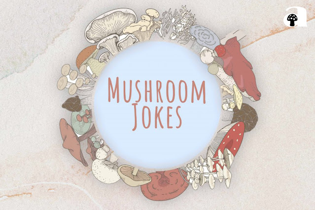 mushroom puns, jokes and one-liners_3