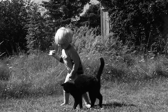 Anton eating bread and butter, stroking cat