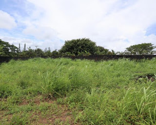 4.38 hectares (43,800sqm) of land with R of O ( Right of Occupancy) located off Idoro road. It's accessible through a route adjacent to MOPOL Base with exact location around Deeper Life Church and Smart Home Military Base. Suitable for estate development.  Property Details: Reference Number: SRE00001 Property Type: Land Property Property Status: Sale Land Size: 4.3 m²