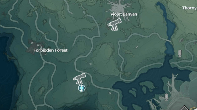Dim Forest Map