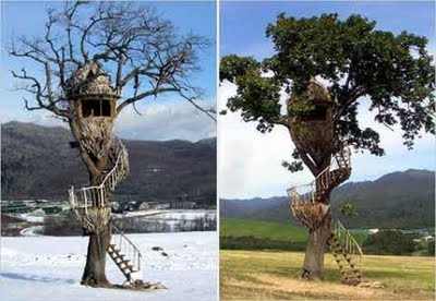 Tree Houses: World Most Amazing Tree Houses 