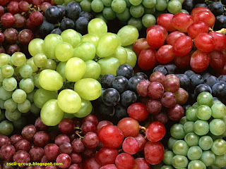 العــنب Grapes تركيبة الكيميائى وفوائدة الصحية والعلاجية