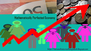 Mathematically Perfected Economy