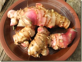 Galangal 014
