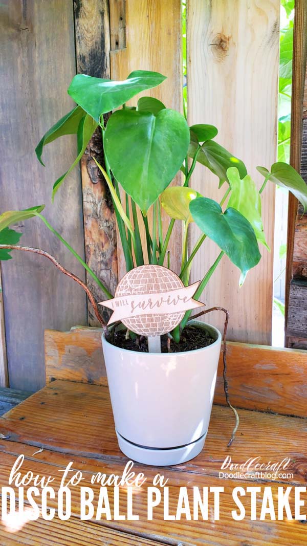 How to make an "I will survive" Disco Ball Plant Stake using the xTool M1 Laser Cutting Machine. Perfect for planter adornments!