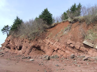 Red sandstone cliffs at Dorchester Cape