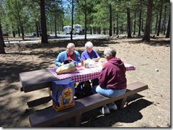 Our picnic lunch