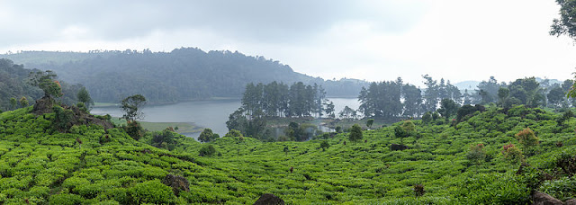 Situ Patenggang danau di tengah-tengah kebun teh