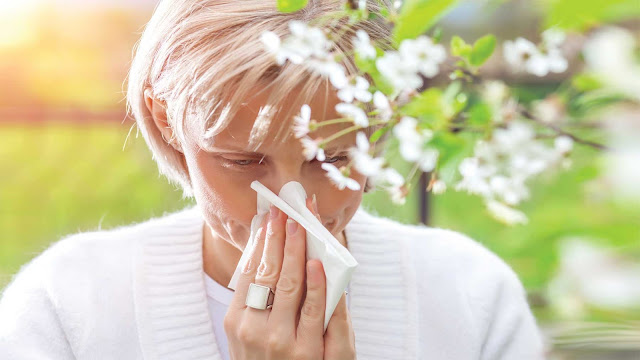 How To Handle Your Allergy Symptoms And Problems