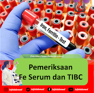 Pemeriksaan Fe Serum dan TIBC