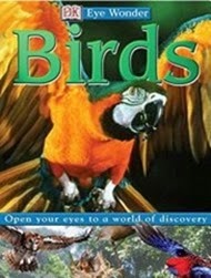 Birds3