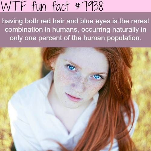 Interesting WTF Fun Facts That You Probably Didn't Know