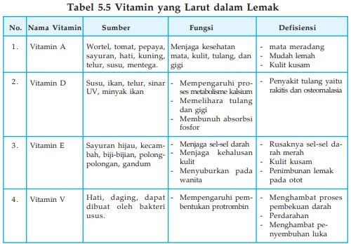 Pengertian Vitamin Fungsi Vitamin Dan Macam Macam Vitamin