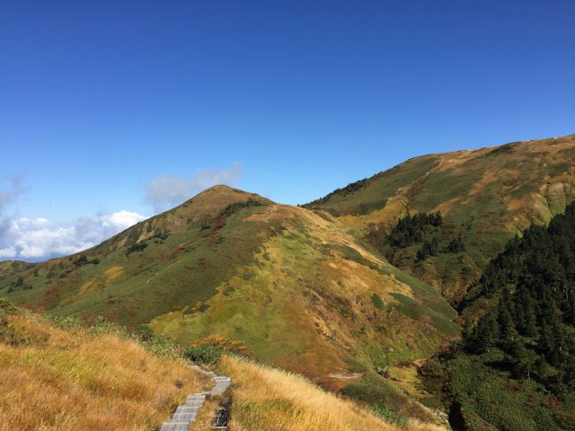 巻機山避難小屋付近の木道