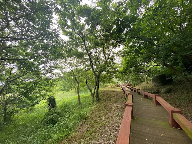 당산-상록수림-산책로