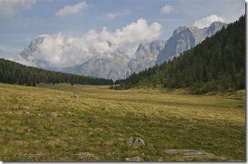 Vista sulle Pale di San Martino