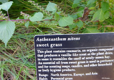 Sweet grass sign, United States Botanic Garden