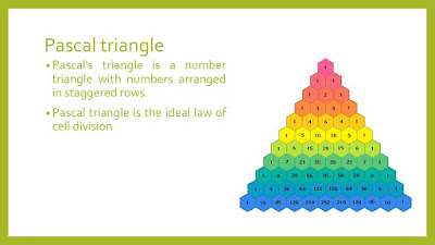 Java Program to print pascal triangle