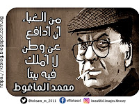  من الغباء  أن أدافع  عن وطن  لا أملك  فيه بيتاً