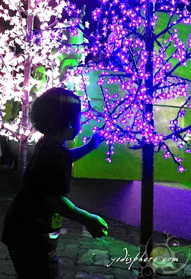 A child amazed by colorful Christmas Lights 