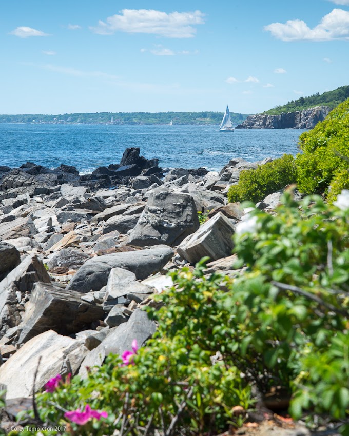 Portland, Maine USA June 2017 photo by Corey Templeton. A scenic view from Seashore Avenue on Peaks Island, looking south and west towards Cushing Island and Cape Elizabeth in the distance.