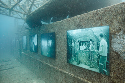 Amazing Underwater Art Gallery- 15 Images