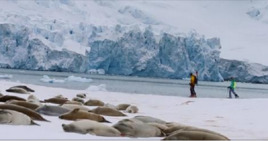 Father and 11 Year Old Daughter Venture Across Antarctica In A Journey Of Discovery