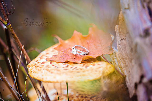 Fall Engagement Photos in Mississauga