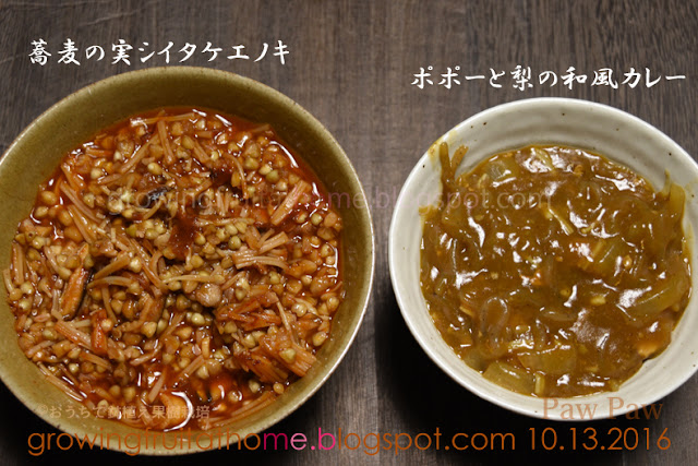 ポポーカレー（料理）と蕎麦の実シイタケエノキ