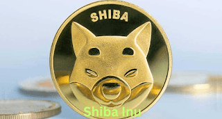 Shiba Inu